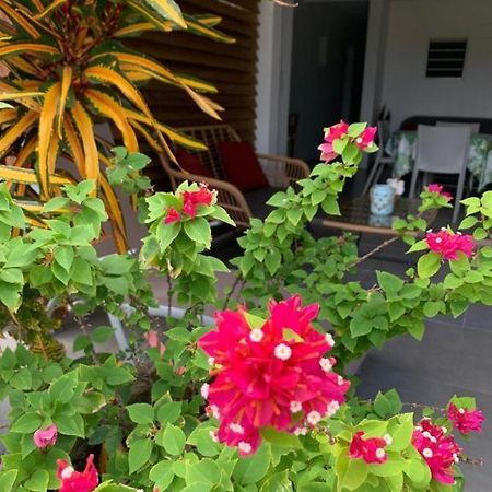 Le Tropical Appartement 1 Ou 2 Chambres Les Anses-d'Arlets Exteriör bild