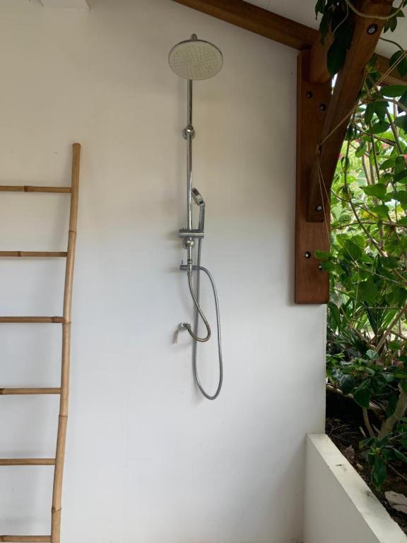 Le Tropical Appartement 1 Ou 2 Chambres Les Anses-d'Arlets Exteriör bild